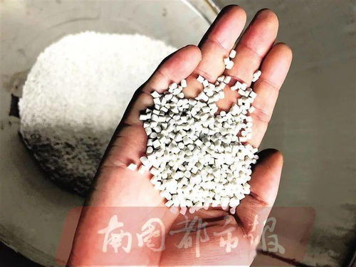 有玉米香味的塑料袋 探秘全生物降解塑料制品工廠,最快3個(gè)月完全降解