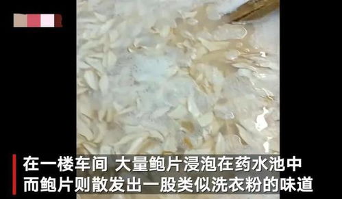 觸目驚心 大連海產品加工廠 2個食品黑科技曝光,注意識別