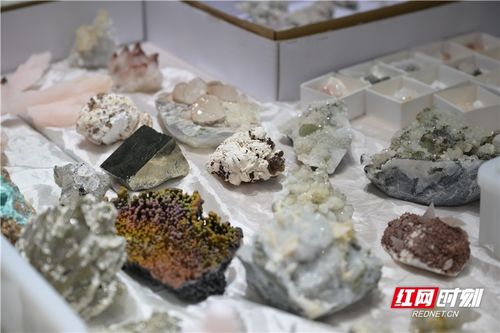 組圖 珠光寶氣 各類精品寶玉石令人目不暇接