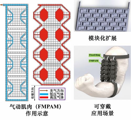 天津大學提出模塊化柔性驅動新方法,可用于人工肌肉和管道機器人